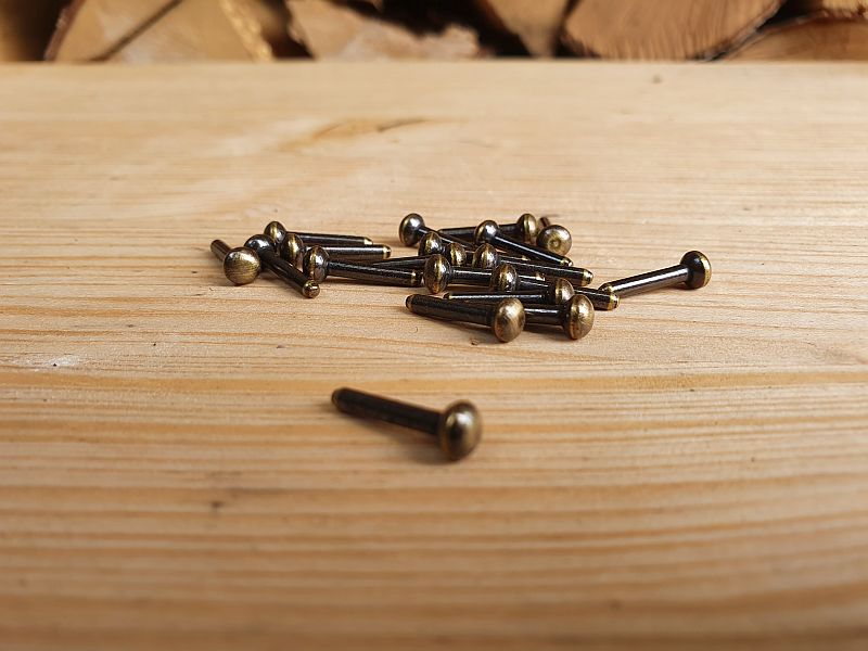 Balgpins 2,5 x 19 mm Altgold