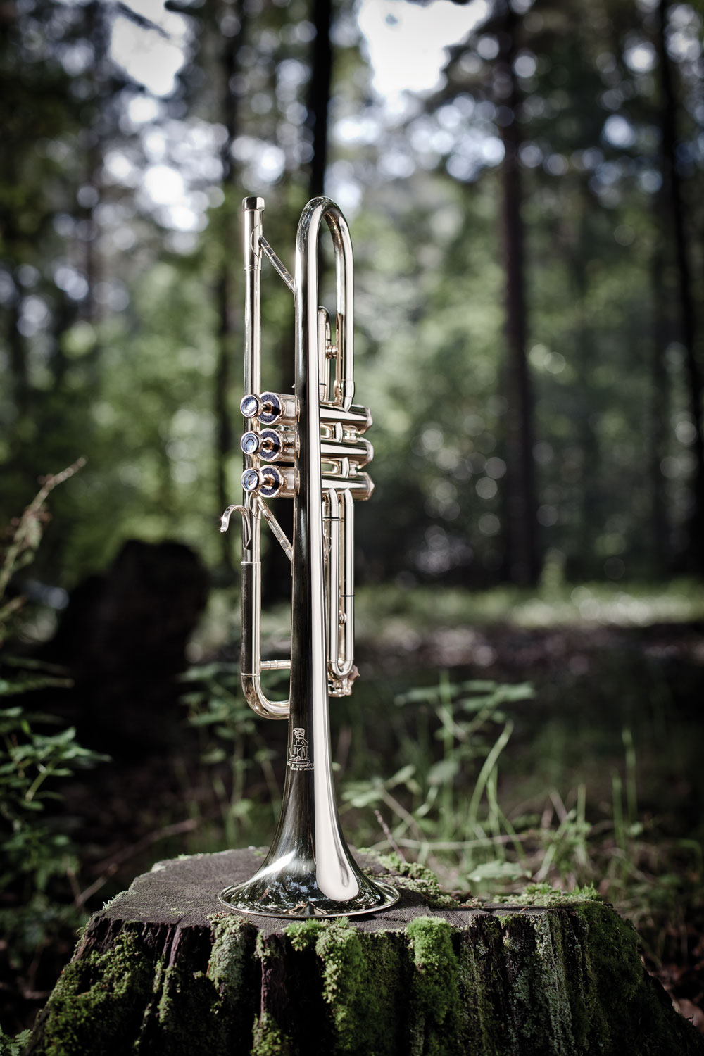 Wie lernt man dieses Instrument (Steirische Harmonika) spielen?